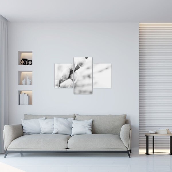 Obraz - Začiatok jari (90x60 cm)