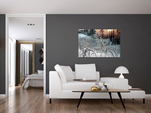 Obraz - Zamrznutá lúka (90x60 cm)
