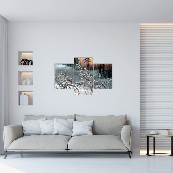Obraz - Zamrznutá lúka (90x60 cm)