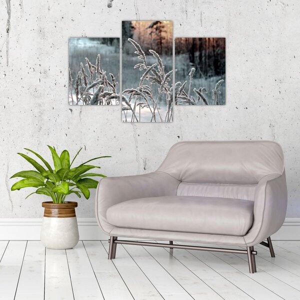 Obraz - Zamrznutá lúka (90x60 cm)