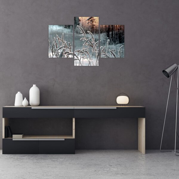 Obraz - Zamrznutá lúka (90x60 cm)
