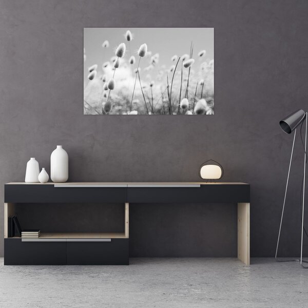 Obraz - Boho bunny tail grass (90x60 cm)