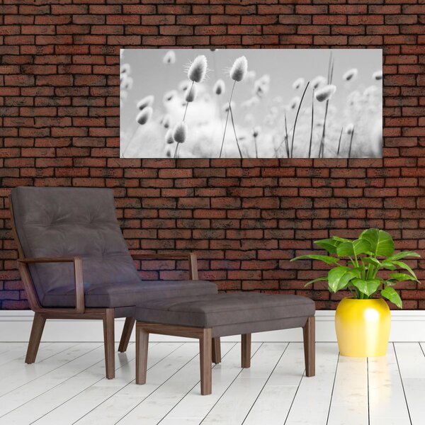 Obraz - Boho bunny tail grass (120x50 cm)