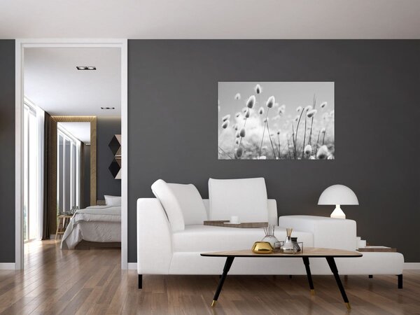 Obraz - Boho bunny tail grass (90x60 cm)