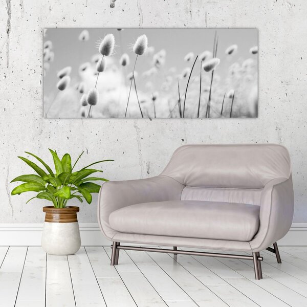Obraz - Boho bunny tail grass (120x50 cm)