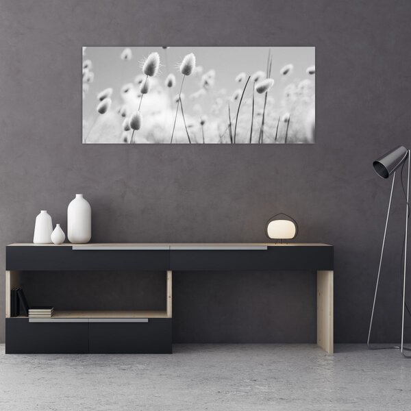 Obraz - Boho bunny tail grass (120x50 cm)