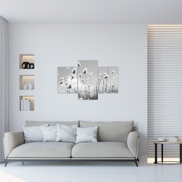 Obraz - Boho bunny tail grass (90x60 cm)