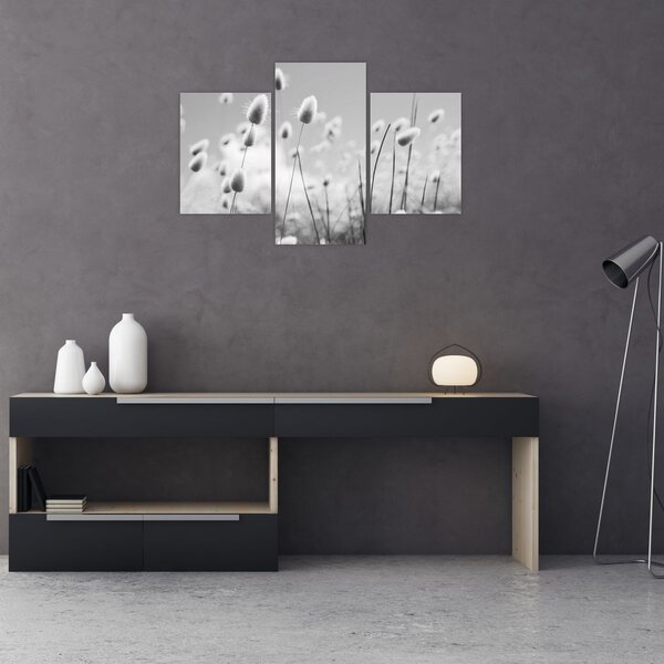 Obraz - Boho bunny tail grass (90x60 cm)