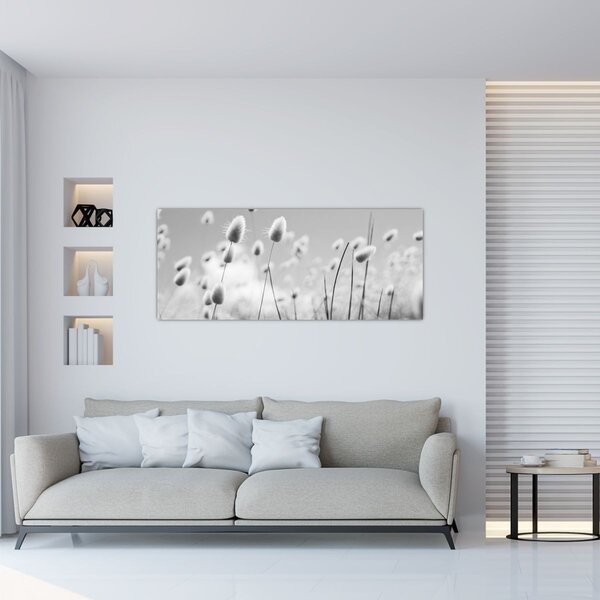 Obraz - Boho bunny tail grass (120x50 cm)