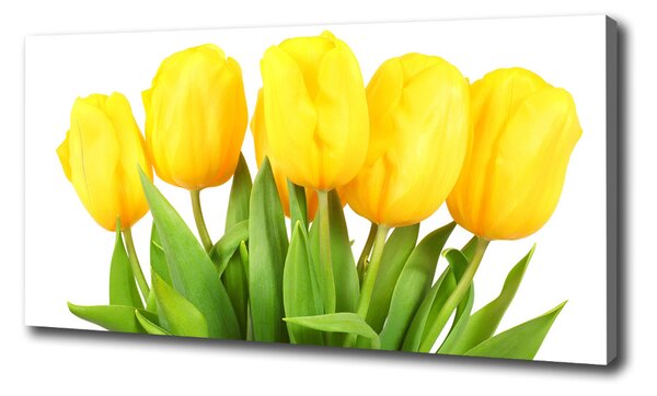 Foto obraz na plátne do obývačky Žlté tulipány