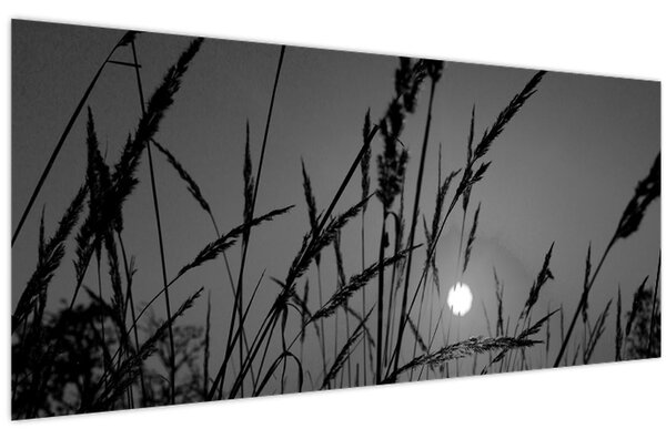 Obraz - Lúka so západom slnka (120x50 cm)