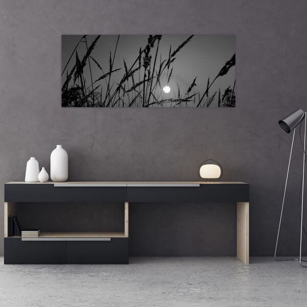 Obraz - Lúka so západom slnka (120x50 cm)