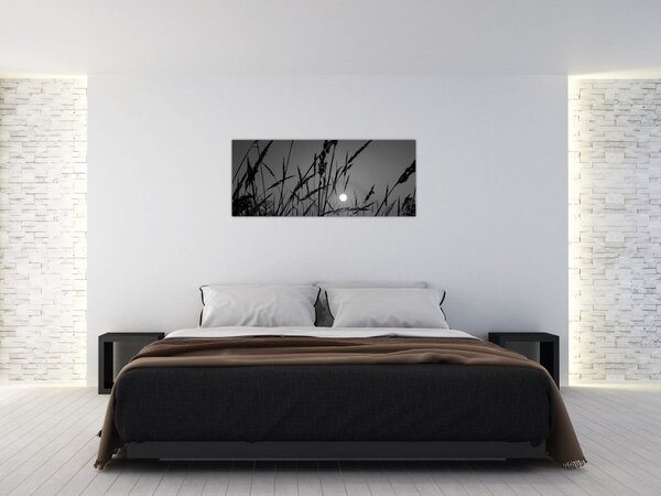 Obraz - Lúka so západom slnka (120x50 cm)