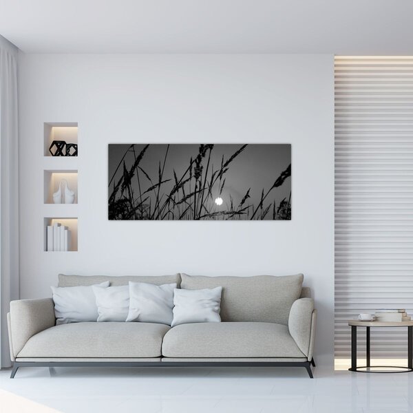 Obraz - Lúka so západom slnka (120x50 cm)