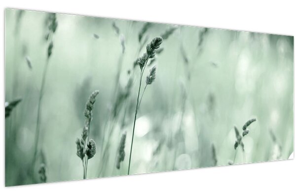 Obraz - Zelená lúka (120x50 cm)