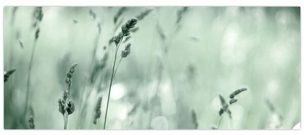 Obraz - Zelená lúka (120x50 cm)