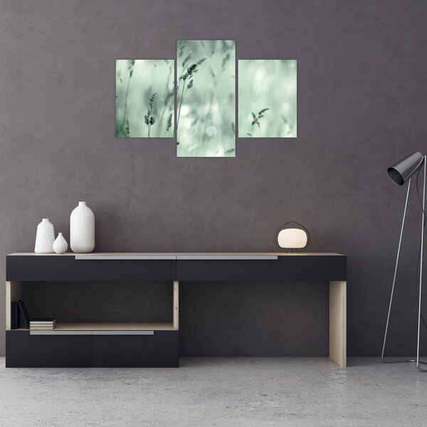Obraz - Zelená lúka (90x60 cm)