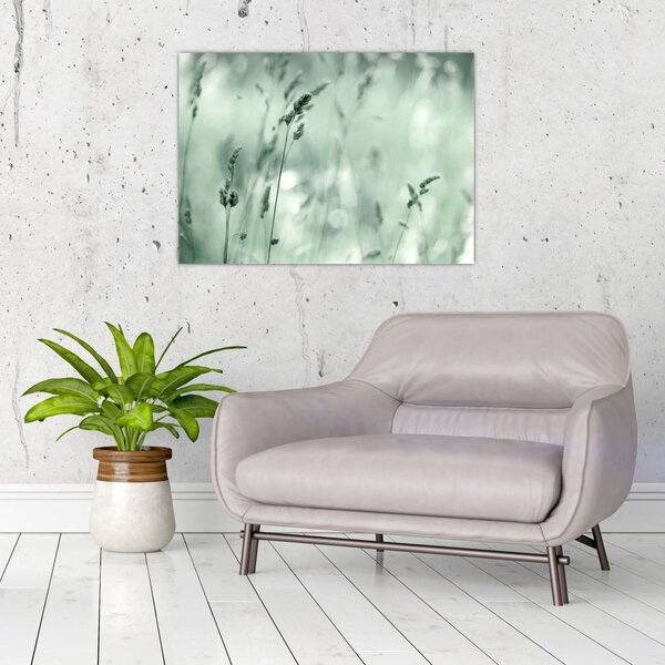 Obraz - Zelená lúka (70x50 cm)