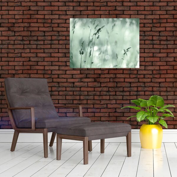 Obraz - Zelená lúka (70x50 cm)