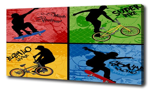 Moderný fotoobraz canvas na ráme Kolo a skateboard