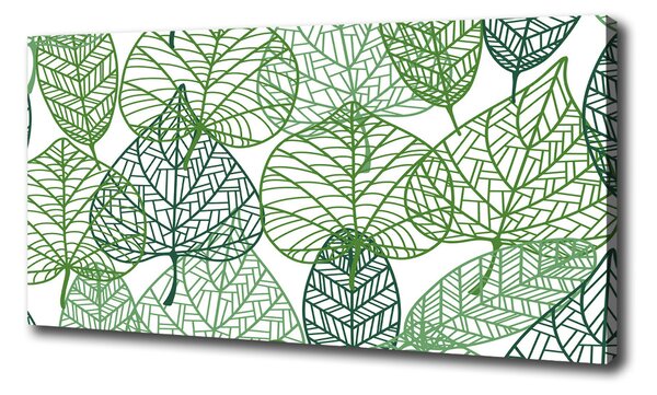 Moderný obraz canvas na ráme Zelené lístie vzor