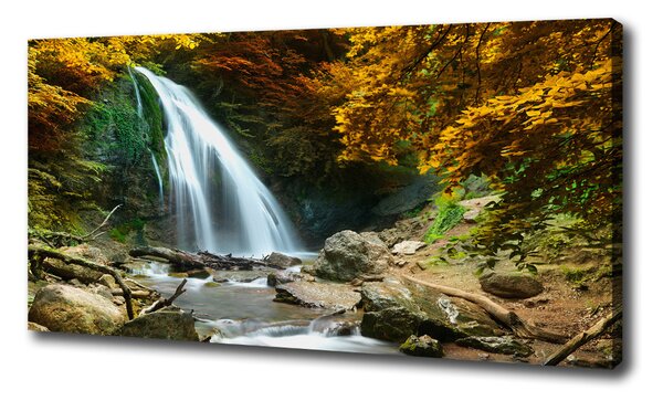 Foto obraz na plátne Vodopád v lese oc-72571423