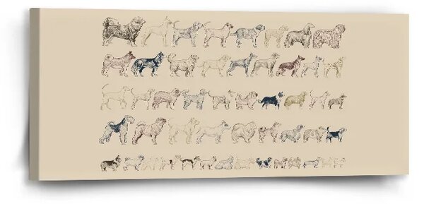 Sablio Obraz Psie plemená - 110x50 cm