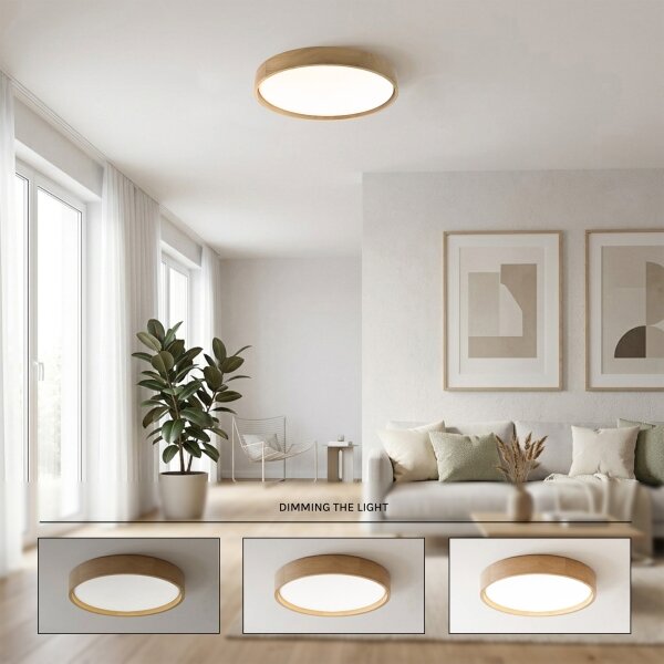 Brilagi - LED stmievateľné stropné svietidlo MANAROLA LED/36W/230V 3000-6500K pr. 51 cm + diaľkové ovládanie