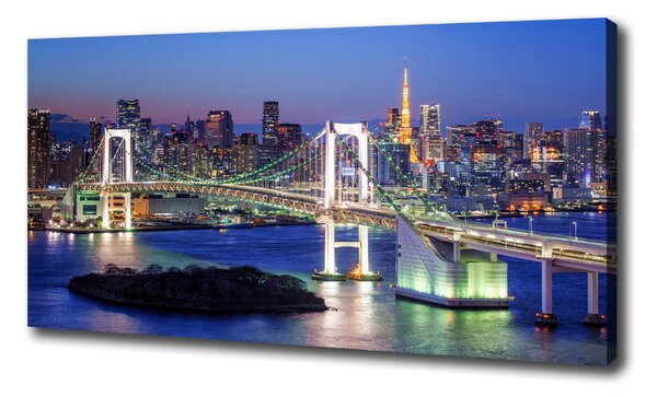Foto obraz na plátne do obývačky Most v Tokio oc-83069808
