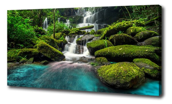 Foto obraz na plátne Vodopád v džungli oc-99201253