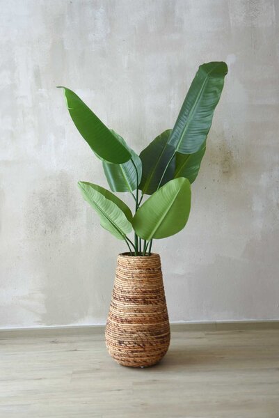 Izbový kvetináč ROTA, vodní hyacint, průměr 35 cm, natur