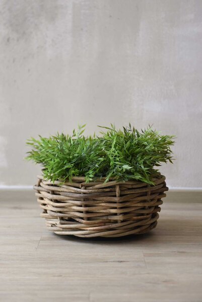Prírodný kôš na rastliny BOJO, ratan, priemer 40 cm, natur