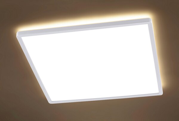 STROPNÉ LED SVIETIDLO, 42/42/2,9 cm Novel - Interiérové svietidlá