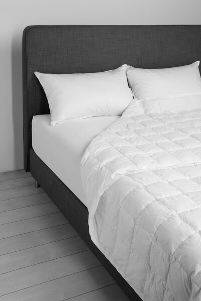 DaunenStep Luxusný letný páperový paplón so striebrom zo 100% páperia D800 - 140x200 cm