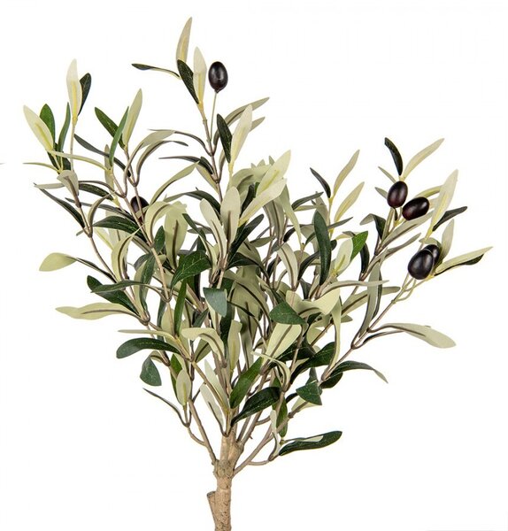 Dekorácia umelý stromček olivovník s olivami Olea Tree - 15*15*70 cm - Clayre & Eef