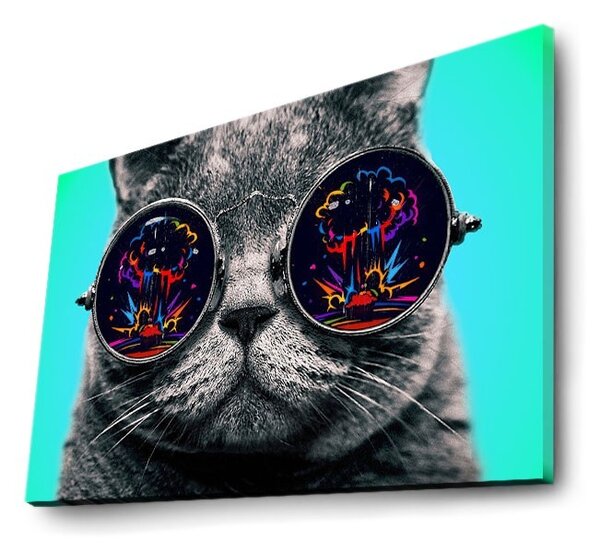 Wallity Obraz s LED osvetlením MAČKA V OKULIAROCH 61 45 x 70 cm
