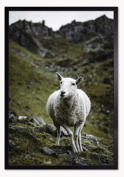Nástenná dekorácia v ráme Sheep