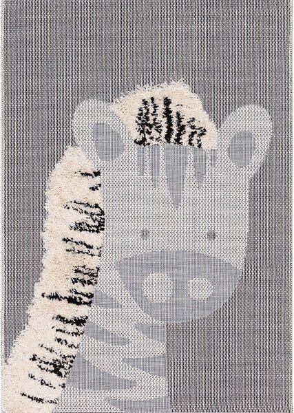 Franc Koberec Zebra 120x170cm