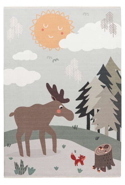 Obsession , Kusový koberec My Greta 627 Moose, 115x170, viacfarebná, detská izba