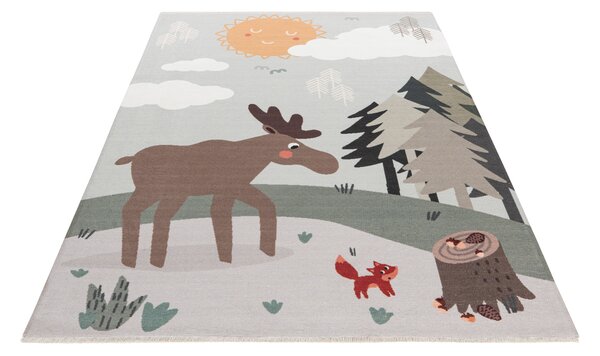 Obsession , Kusový koberec My Greta 627 Moose, 115x170, viacfarebná, detská izba