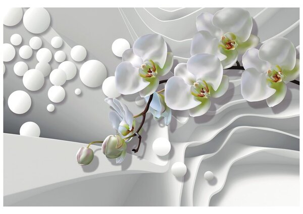 Tapeta orchidea na abstraktnom pozadí
