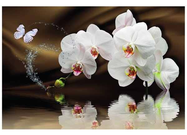 Tapeta orchidea a motýľ