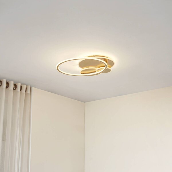 Lucande stropné LED svetlo Circulo, zlaté, 60 cm stmievateľné, Mosadz / zlato, Obývacia izba / jedáleň, kov, Moderný