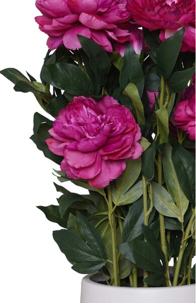Umelá pivonka v krémovom kvetináči PEONY, výška 70 cm, tmavo ružová