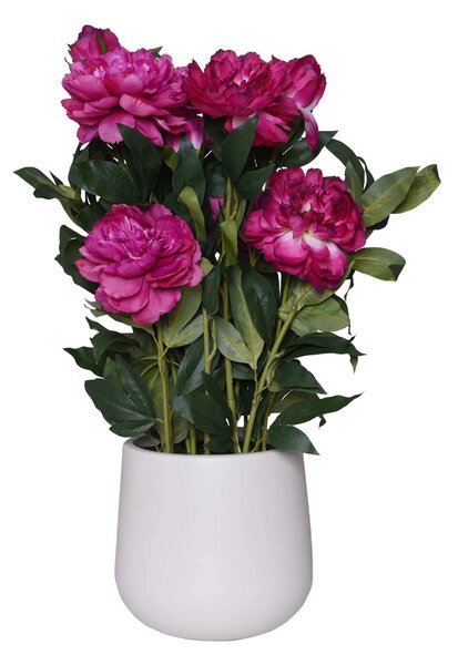 Umelá pivonka v krémovom kvetináči PEONY, výška 70 cm, tmavo ružová