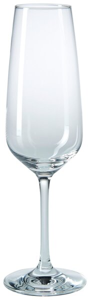 POHÁR NA SEKT Schott Zwiesel - Poháre na šampanské