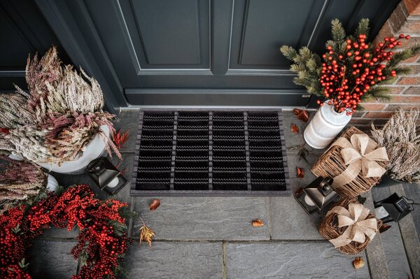 Hanse Home, Vonkajšie čistiaci rohožka Mix Mats Brushes 105648 Black – na von aj na doma, 40x60, čierna, exteriér