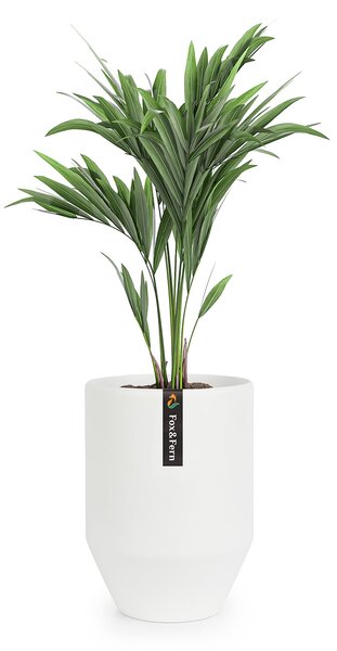 Fox & Fern Almere Kvetináč Polystone Ideálny pre rastliny, ručne vyrobený, okrúhly