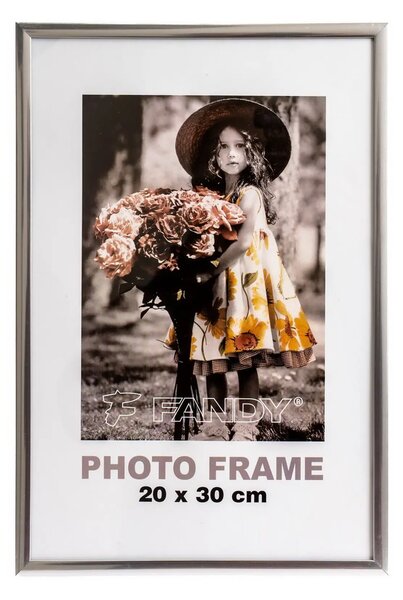 FANDY Plastový rámček Simple 2 20x30 3 strieborný