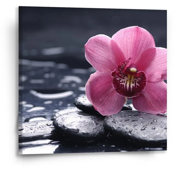 Sablio Obraz Orchidea - 50x50 cm